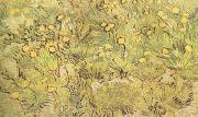 Vincent Van Gogh A Field of Yellow Flowers (nn04) painting